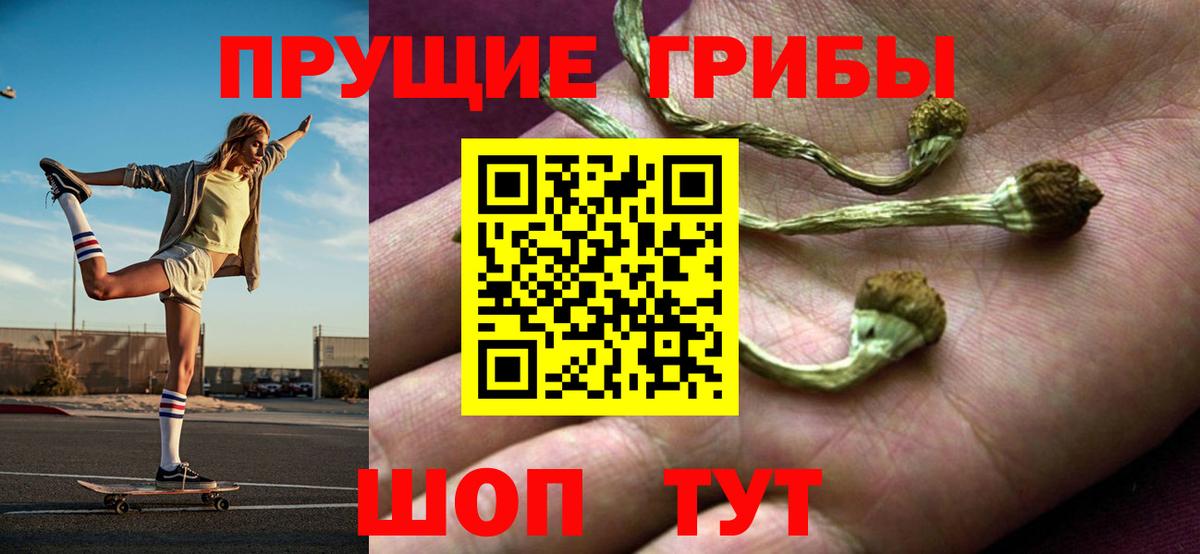 Киров  Галлюциногенные грибы прущие грибы  Галлюциногенные грибы Psilocybine cubensis  Вход с VPN 